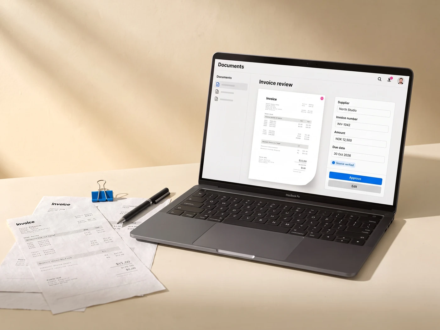 Document review software with extracted invoice information